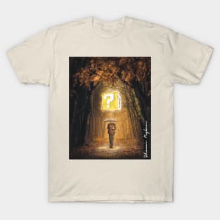 Gifts of Life T-Shirt